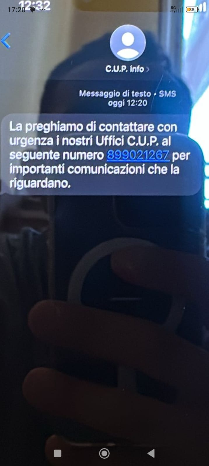 falso cup